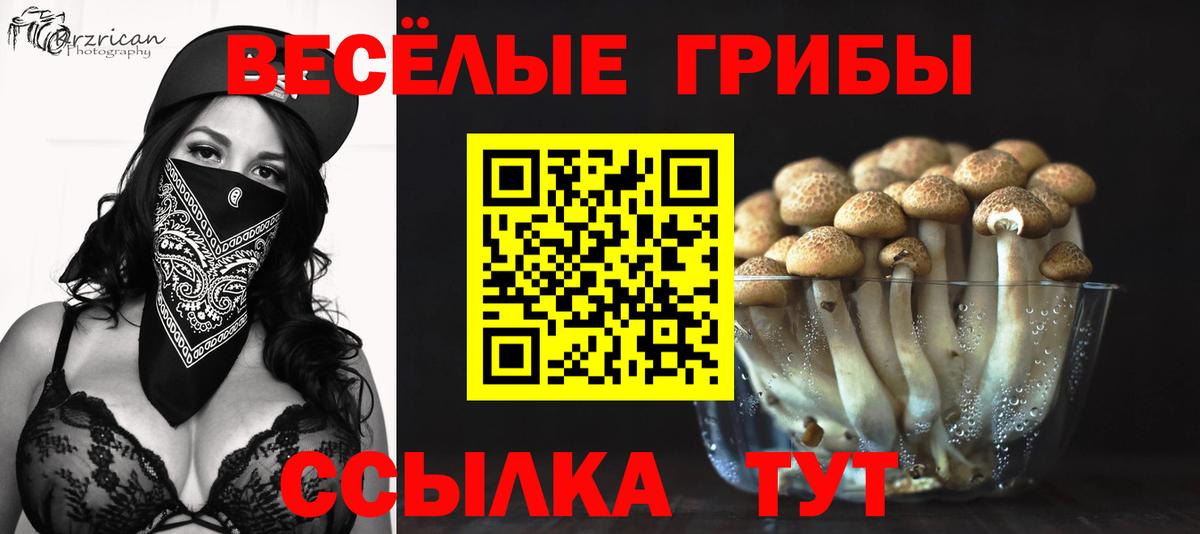 Дмитров  Псилоцибиновые грибы мицелий  Вход с VPN 